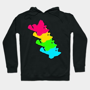 Paddle-flap scorpionfish (Rhinopias eschmeyeri) Hoodie